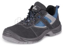 CXS DOG DOBRMAN S1